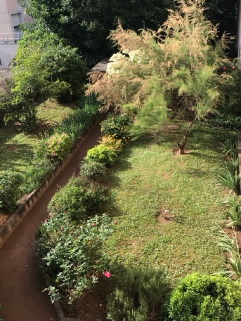 Appartement meublé 2 pièces - Le jardin de la résidence