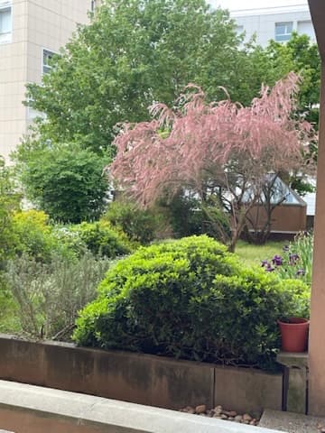 Appartement meublé 2 pièces - Le jardin de la résidence